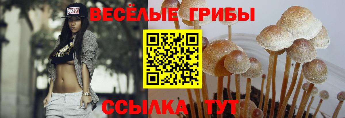 Галлюциногенные грибы MAGIC MUSHROOMS Керчь
